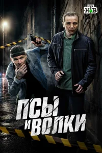 Сергей Жарков, Максим Стоянов, Юрий Ицков, Ирина